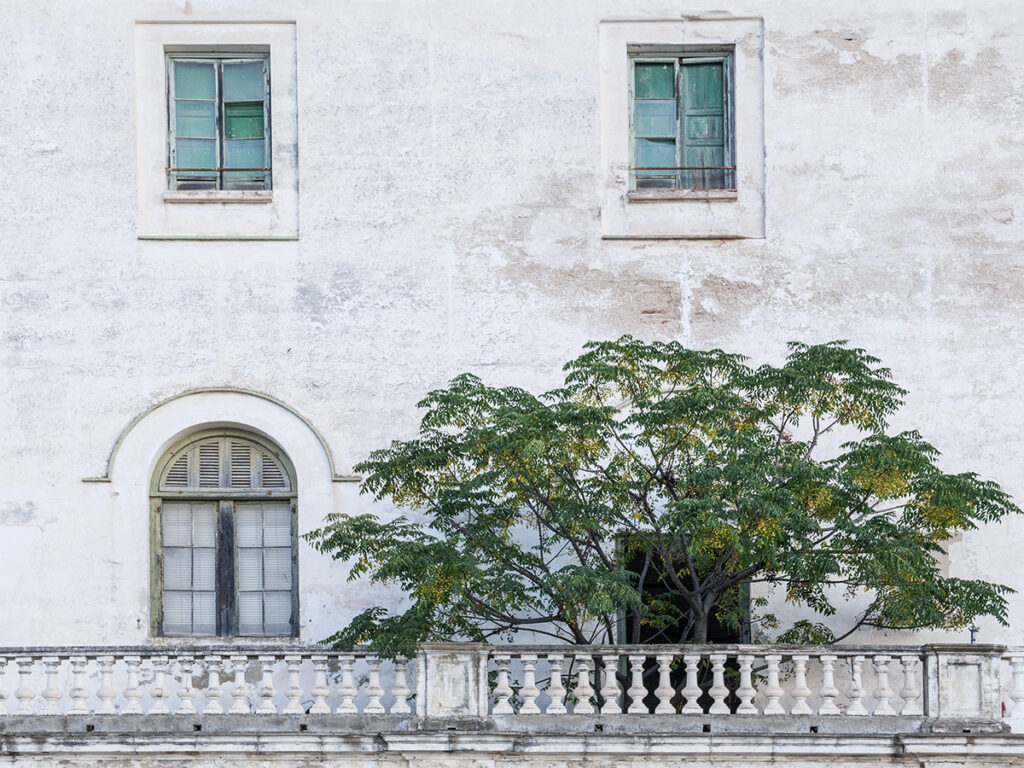 ¡ 1016713 6master 6 Copia 1024x768