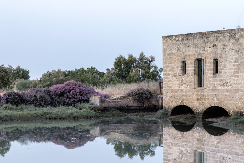 ¡ R6A0084 Master Copia 1024x683