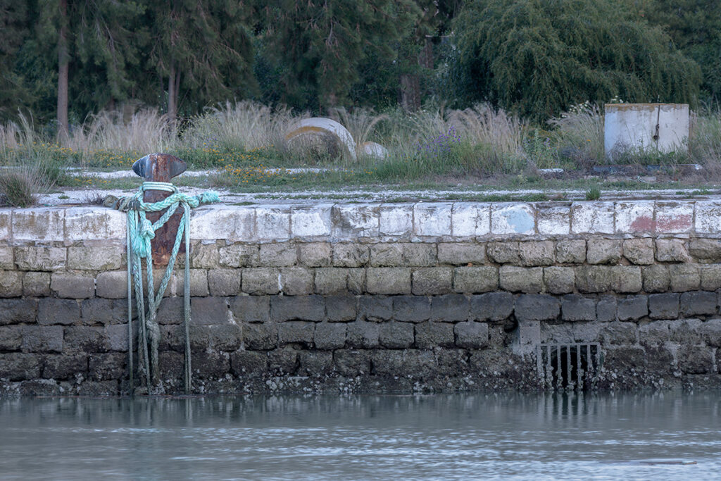 ¡ R6A7646 Master Copia 1024x683