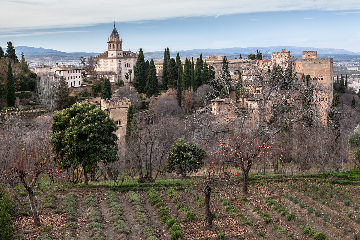¡ Alhambra 04