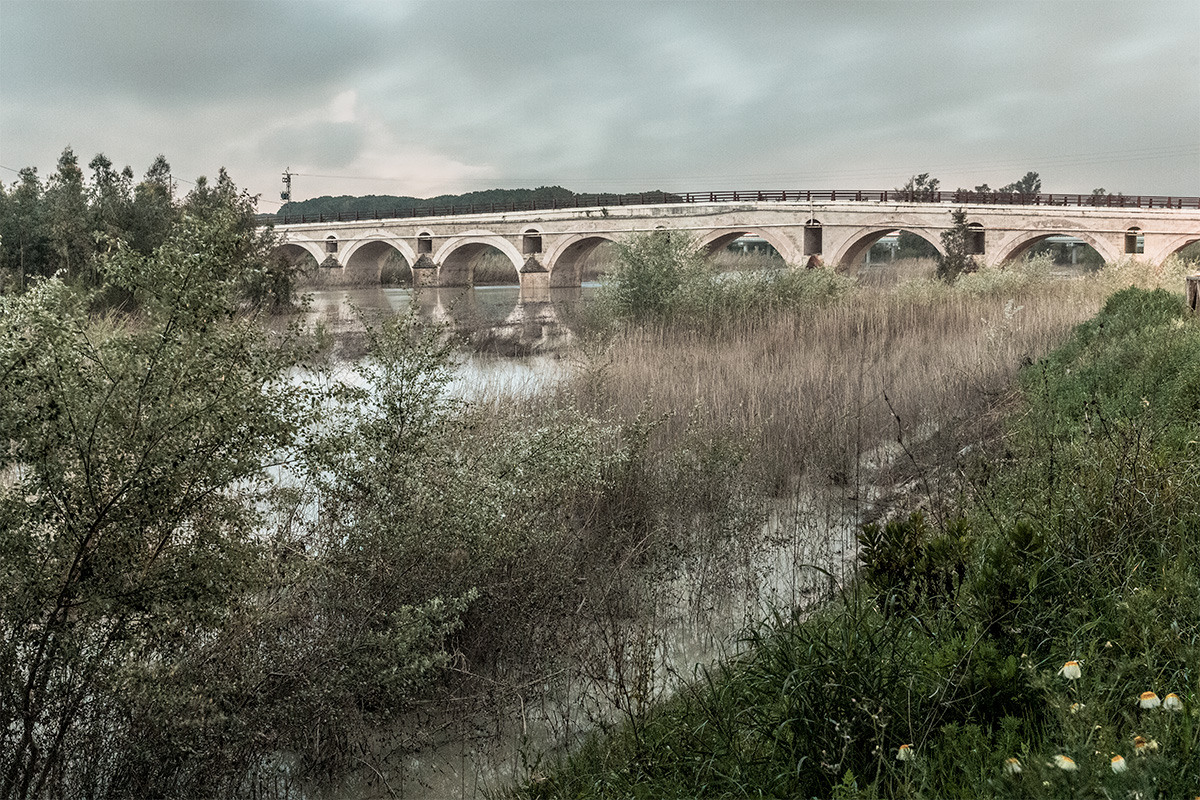 José Manuel Vargas Rosa